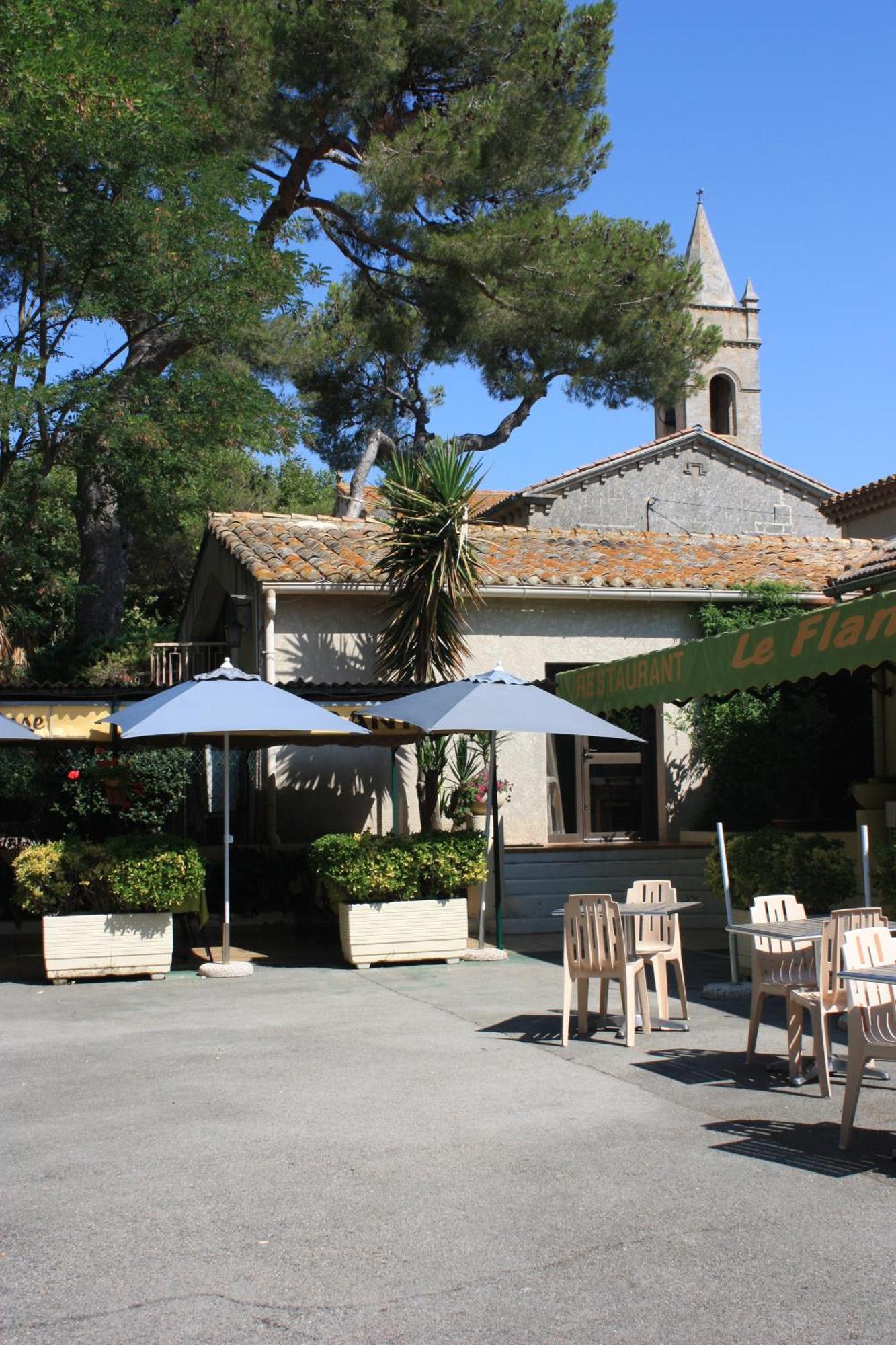 Logis Hotel Restaurant Le Flamant Rose Camargue Albaron Exteriér fotografie
